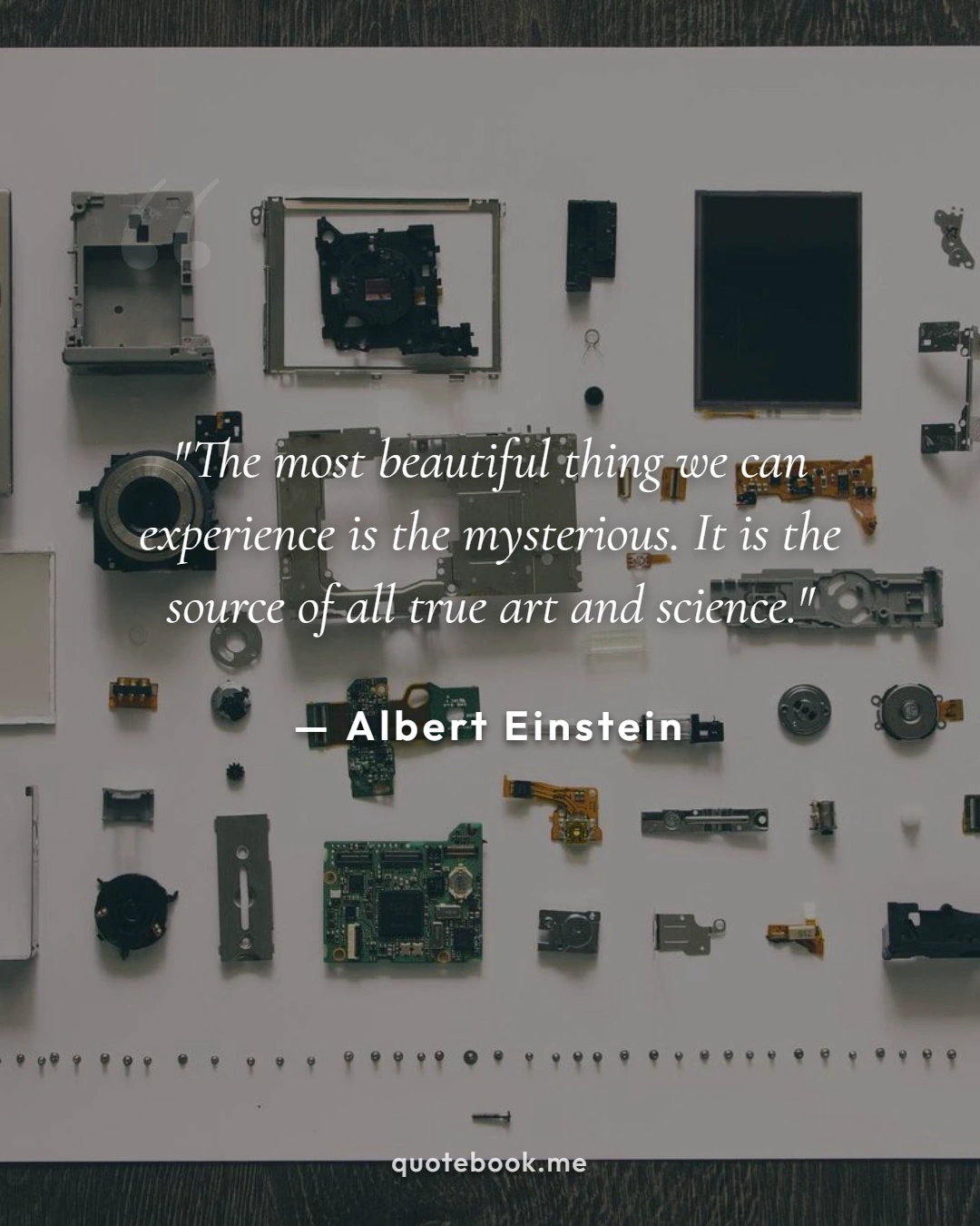 Albert Einstein Inspirational Quote Poster - Visual Quote Typography Card