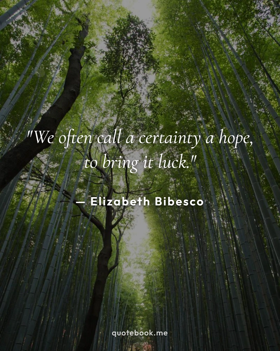 Elizabeth Bibesco Quote Poster - Editorial Visual Quote Poster